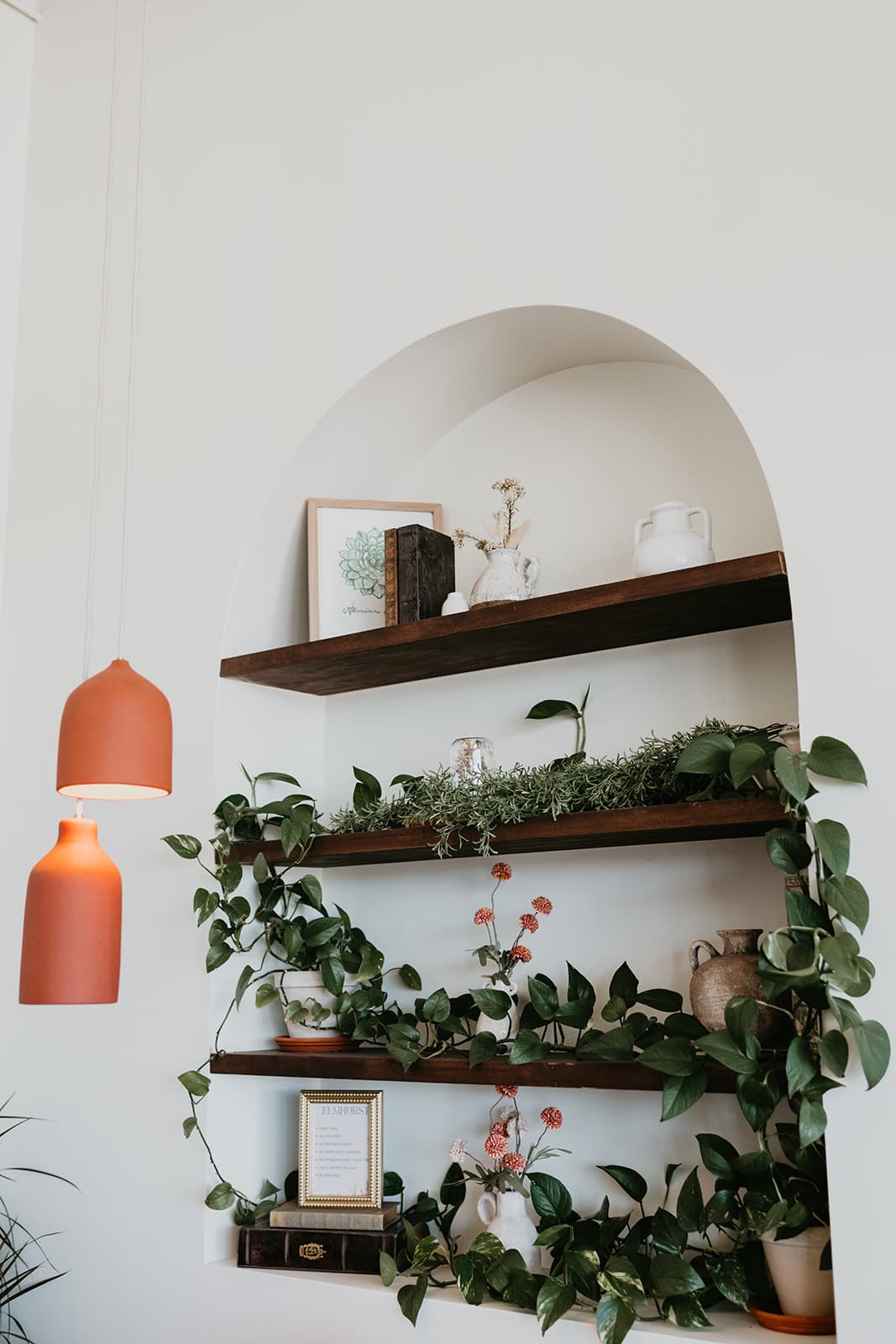 Arched shelving with terracotta pendant lights and trailing pothos inside Greenhouse